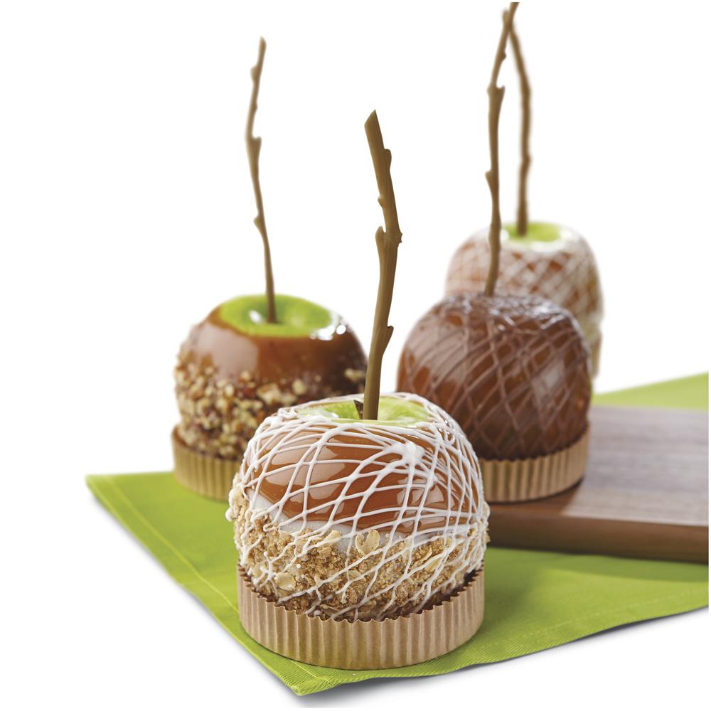 Wilton Tree Branch Treat Sticks, Pack of 12 Cake Pop & Lollipop Sticks