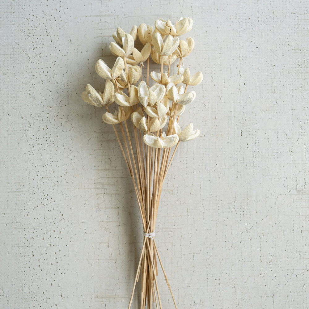 Kalalou Bleached Bullet Flowers on Stems, Bundle of 24 image 1