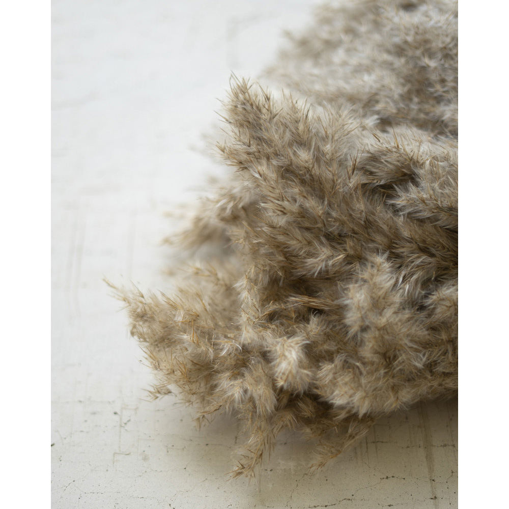 Kalalou Natural Pampass Grass, Bundle of 12 image 3