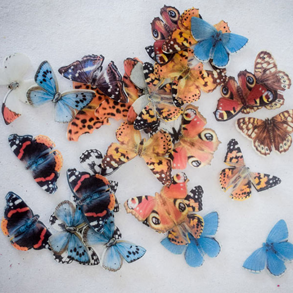 Crystal Candy British Edible Butterflies - Pack of 19 image 4