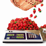 Penn Scale Price Computing Scale image 3