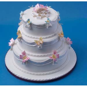 PME Butterfly Cake image 1