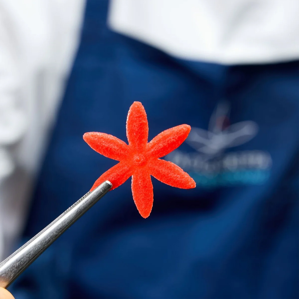 Pavoni FLORALIA Silicone Flower Mold, 24 Cavities image 3