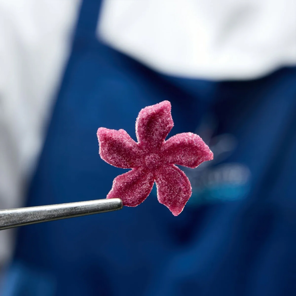 Pavoni FLORALIA Silicone Flower Mold, 24 Cavities image 5