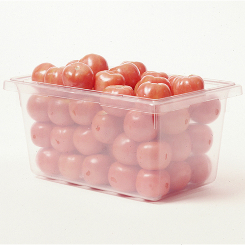 Rubbermaid Clear Food Box 12" x 18"