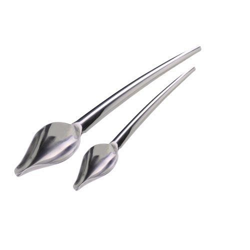 Bron Coucke Jean Daudignac All Stainless DecoSpoon, 2-Piece Set