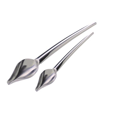 L. Tellier Jean Daudignac All Stainless DecoSpoon, 2-Piece Set