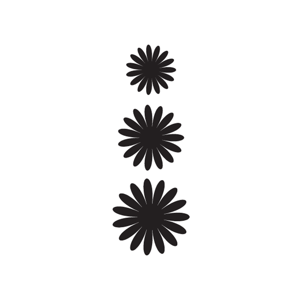 Crystal Candy Black Daisy Edible Flower Kit