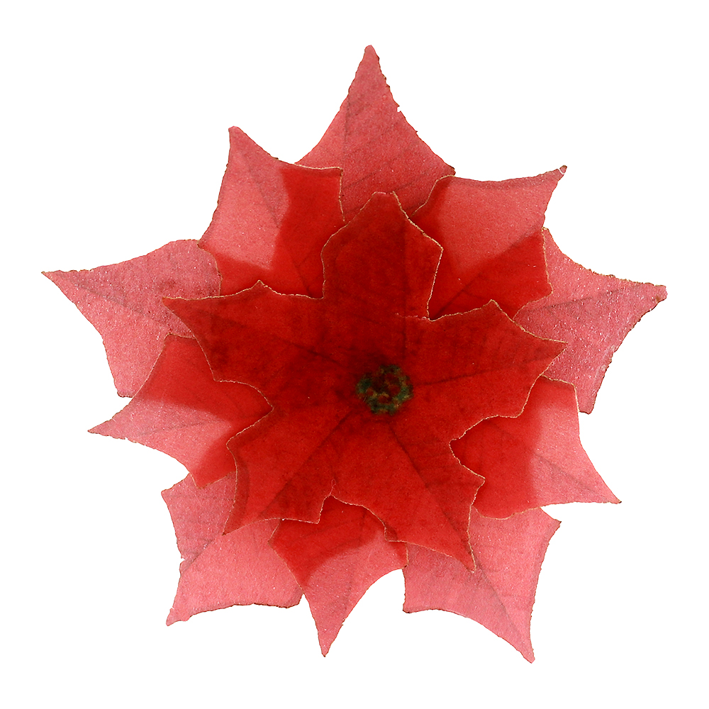 Crystal Candy Edible Poinsettia, Pack of 5