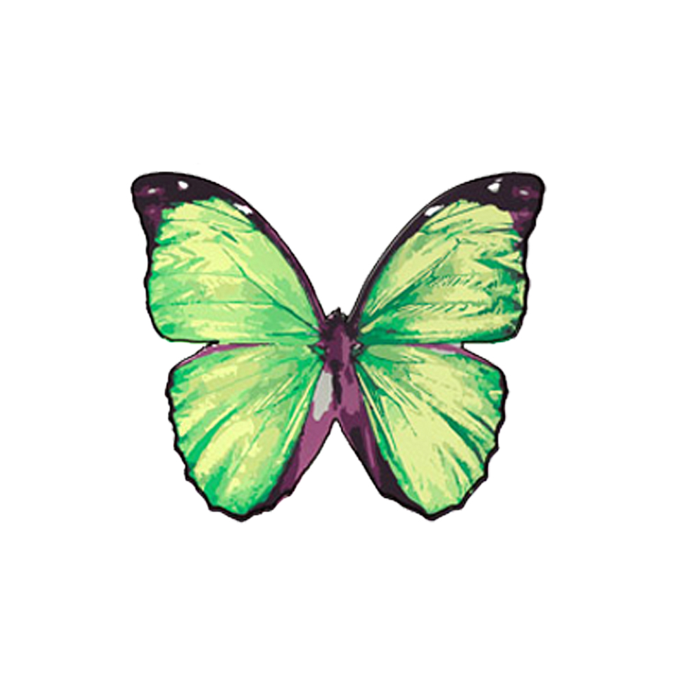 Crystal Candy Vivid Green Edible Butterflies - Pack of 22