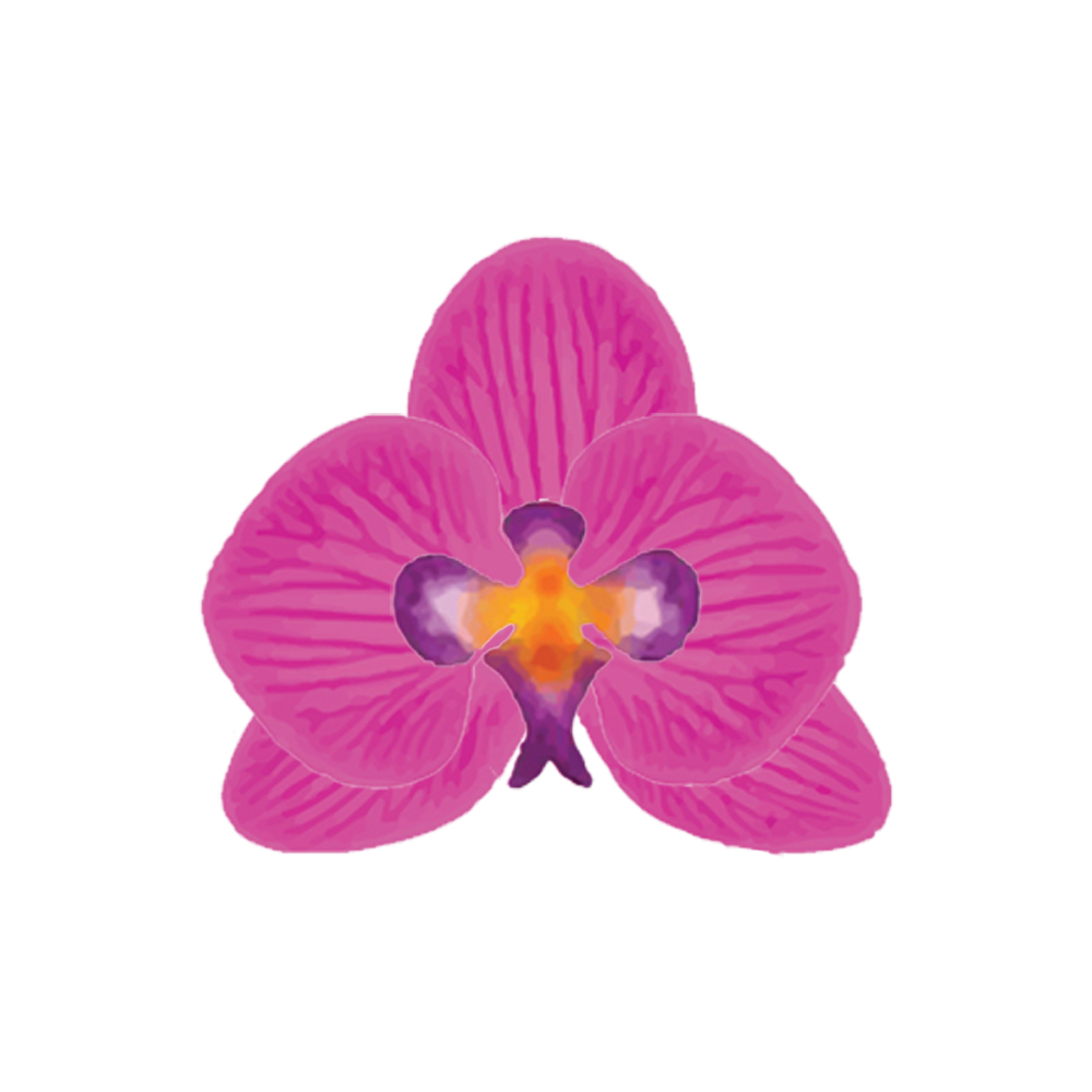 Crystal Candy Magenta Orchid Edible Flower Kit - Pack of 9