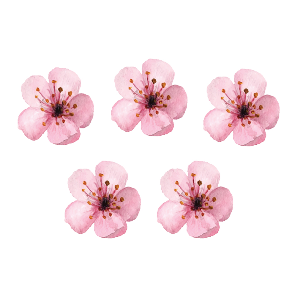 Crystal Candy Make a Blush Cherry Blossom Edible Flower Kit, Pack of 54