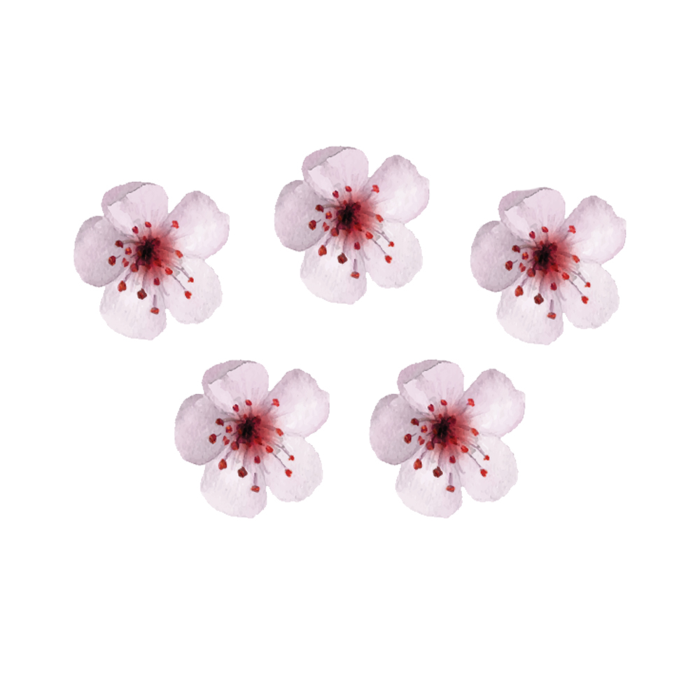 Crystal Candy Make a White Cherry Blossom Edible Flower Kit, Pack of 54