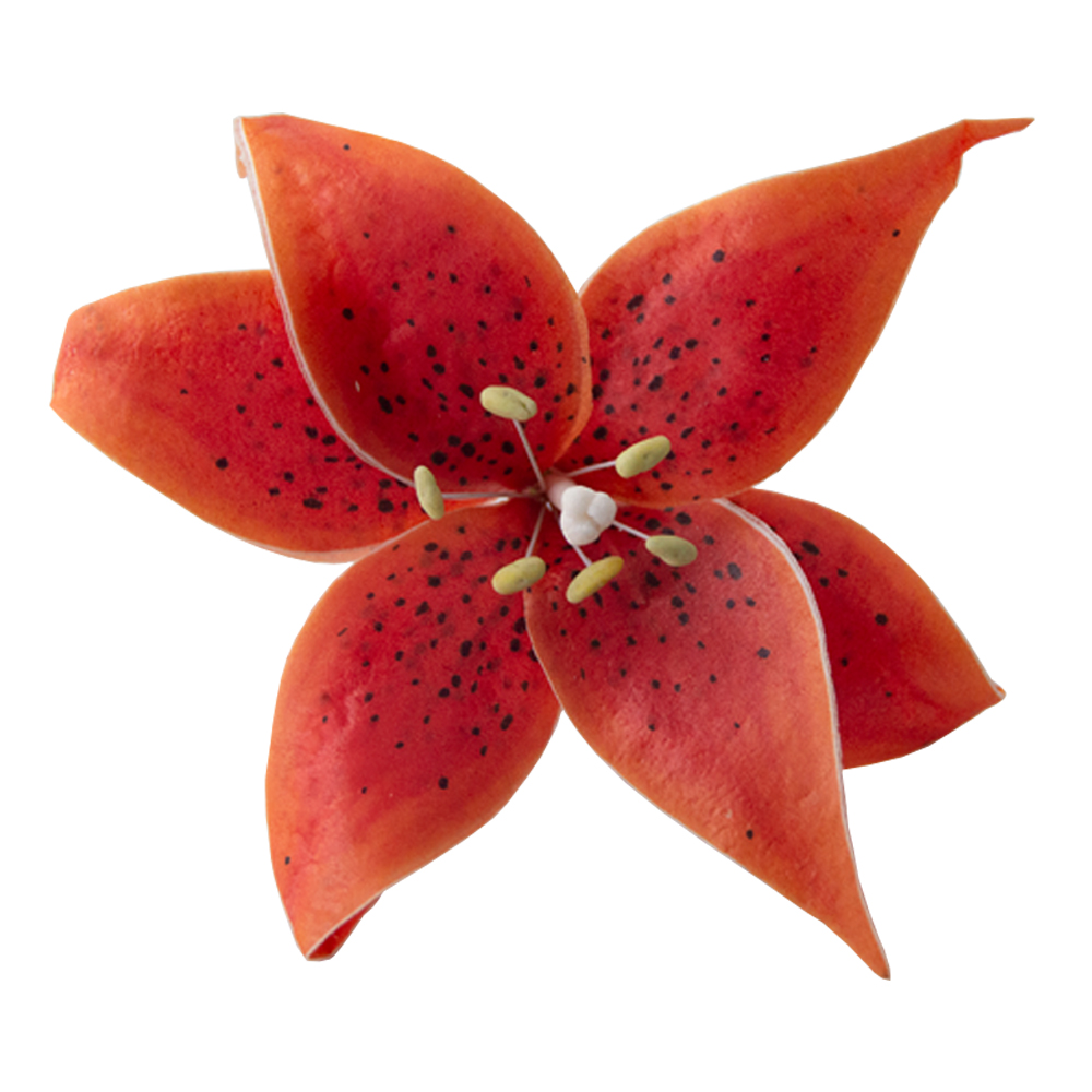 Crystal Candy Orange Tiger Lily Edible Flower Kit