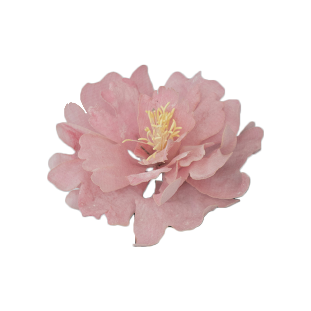 Crystal Candy Pink Peony Edible Flower Kit 