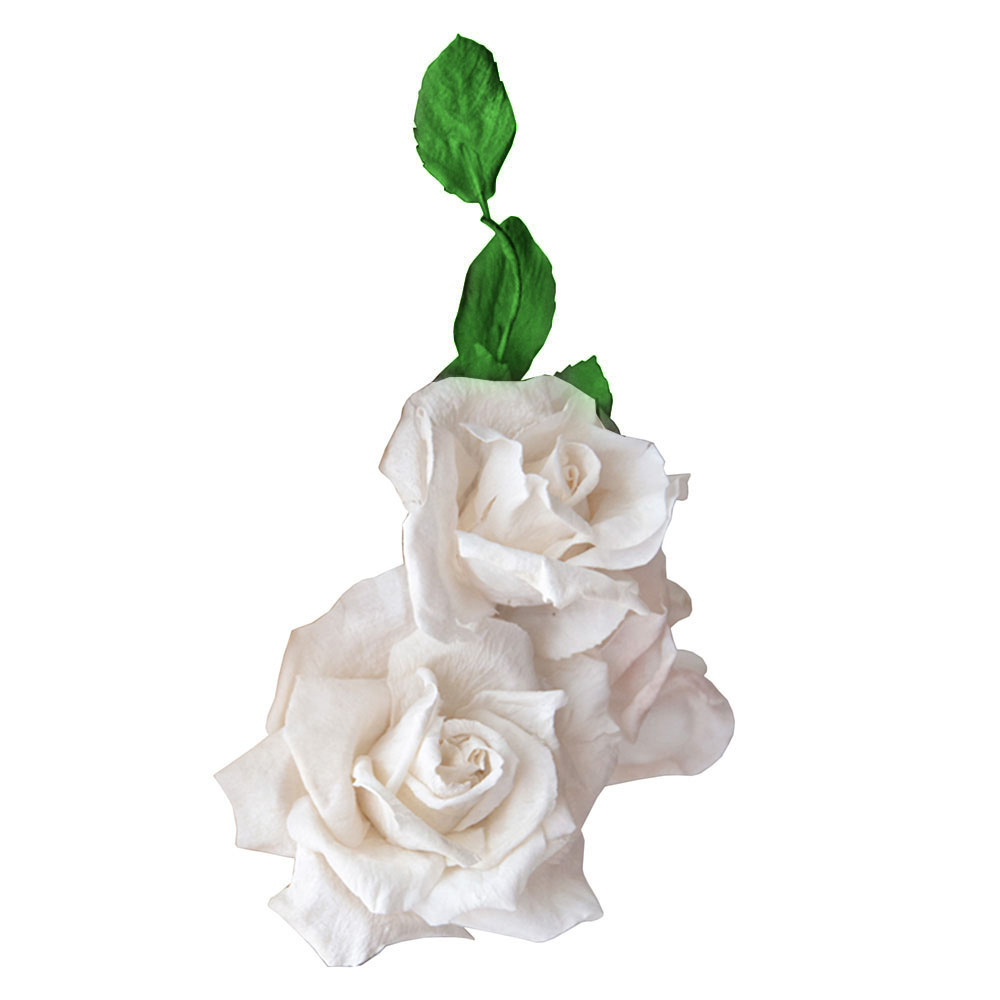Crystal Candy White Rose Edible Flower Kit