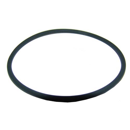 Everpure OEM # 158096, O-Ring