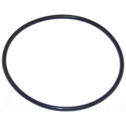 Everpure OEM # EV307119 / 3071-19 / 307119, 10" Steamer Filter O-Ring