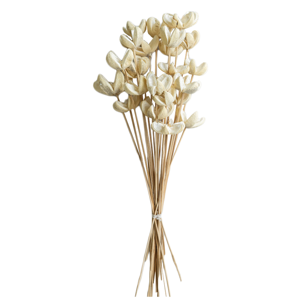 Kalalou Bleached Bullet Flowers on Stems, Bundle of 24