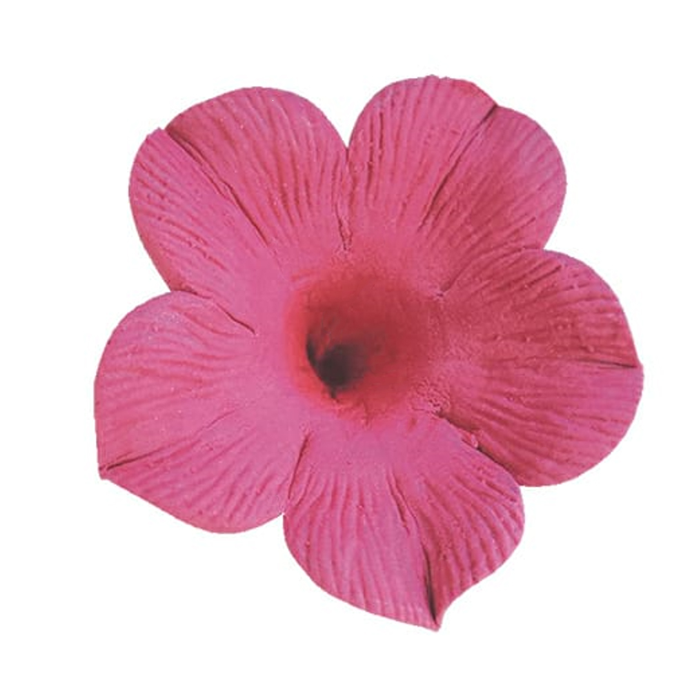 O'Creme Fuchsia Petunia Gumpaste Flowers, Pack of 6