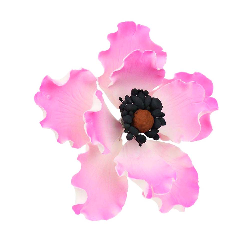 O'Creme Pink Anemone Gumpaste Flowers, Set of 6