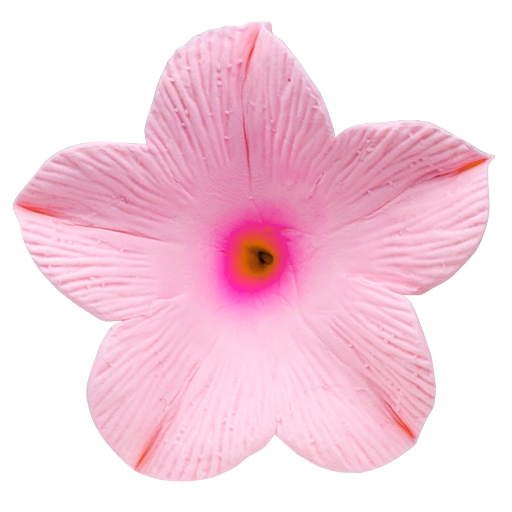 O'Creme Pink Petunia Gumpaste Flowers, Pack of 6