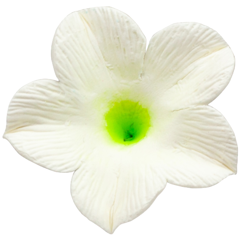 O'Creme White Petunia Gumpaste Flowers, Pack of 6