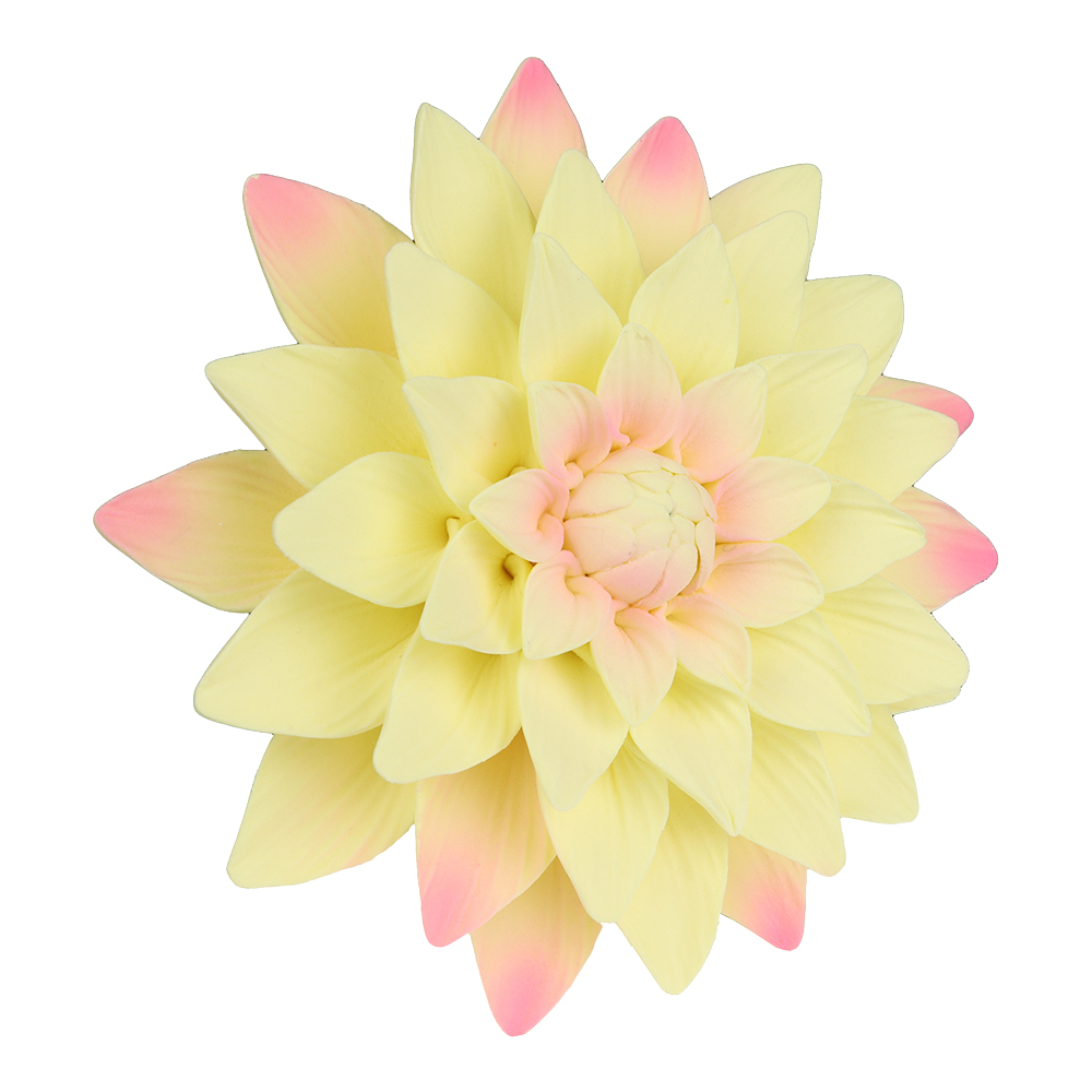 O'Creme Yellow and Pink Dahlia Gumpaste Flowers - Set of 3