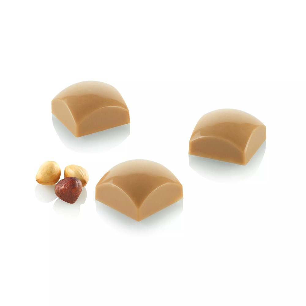 Silikomart DOMUS Tritan Chocolate Mold, 24 Cavities