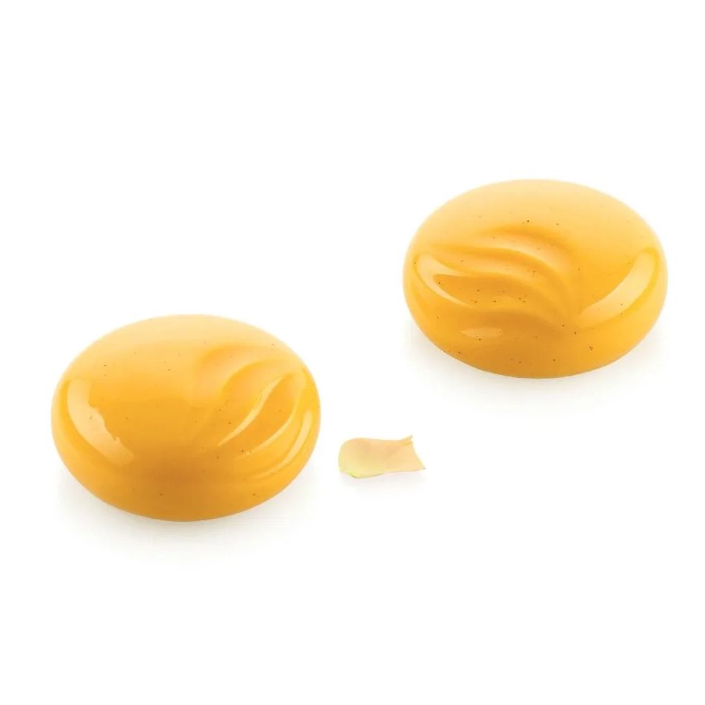 Silikomart OCEAN100 Silicone Mold, 6 Cavities