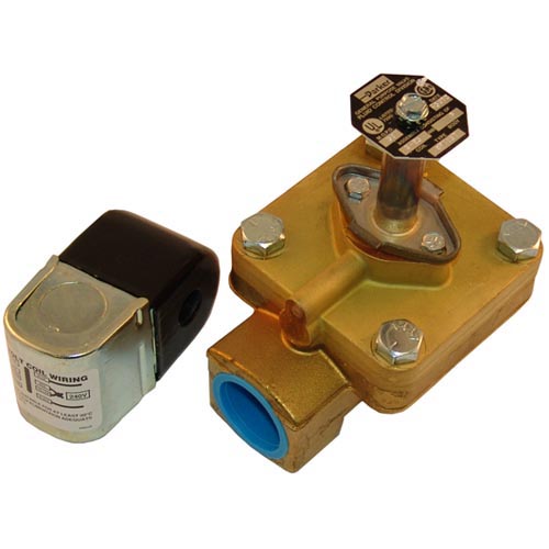 Steam Solenoid Valve; 1" FPT; 120/240V