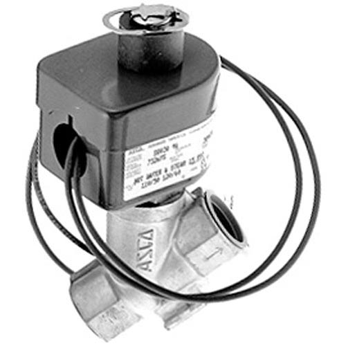 Steam Solenoid Valve; 3/4" FPT; 110/120V