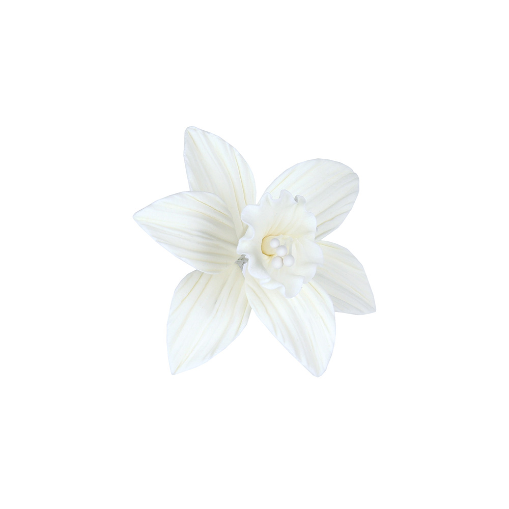 White Daffodil Gumpaste Flowers - Set of 6