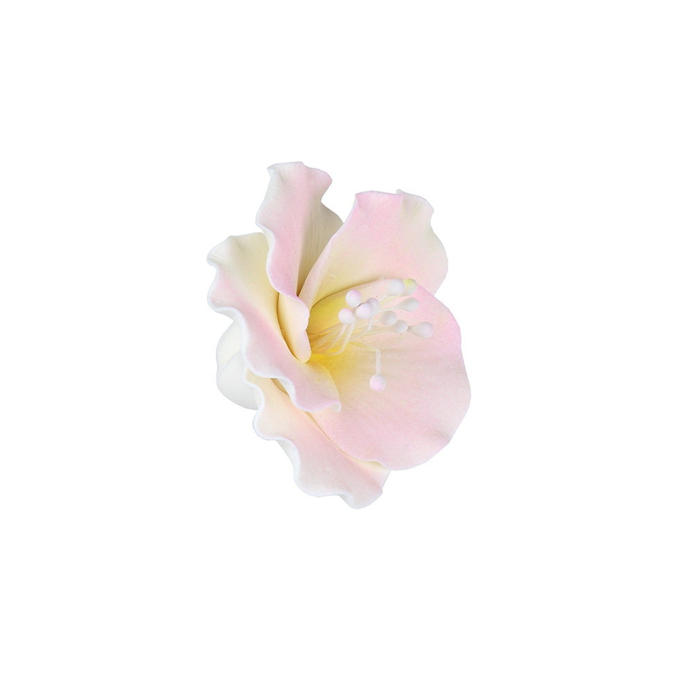 White with Pink Azalea Gumpaste Flowers - Set of 6