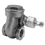 1/2" FPT Steam Gate Valve