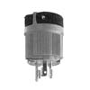 All Points 38-1285 Locking Plug; NEMA L5-20P