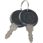 Turbo Air OEM # P998200100, Pair Of Keys