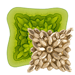 Bling Squared Silicone Fondant Mold by Marvelous Molds