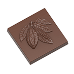 Chocolate World Polycarbonate Square with Cocoa Bean Chocolate Mold, 21 Cavities