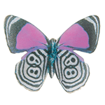 Crystal Candy Baudelaire Edible Butterflies, Pack of 19