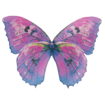 Crystal Candy Bonita Edible Butterflies - Pack of 19
