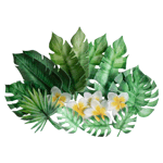 Crystal Candy Edible Tropical Leaves and Flowers - Pack of 17