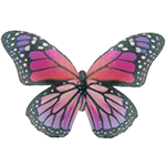 Crystal Candy Exotica Edible Butterflies - Pack of 19