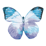 Crystal Candy Fluttery Blue Edible Butterflies - Pack of 22