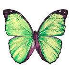 Crystal Candy Vivid Green Edible Butterflies - Pack of 22