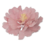 Crystal Candy Pink Peony Edible Flower Kit 