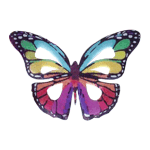 Crystal Candy Rainbow Edible Butterflies - Pack of 22