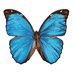 Crystal Candy Vivid Blue Edible Butterflies - Pack of 22