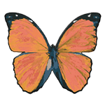 Crystal Candy Vivid Orange Edible Butterflies - Pack of 22