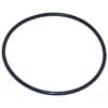 Everpure OEM # EV307119 / 3071-19 / 307119, 10" Steamer Filter O-Ring